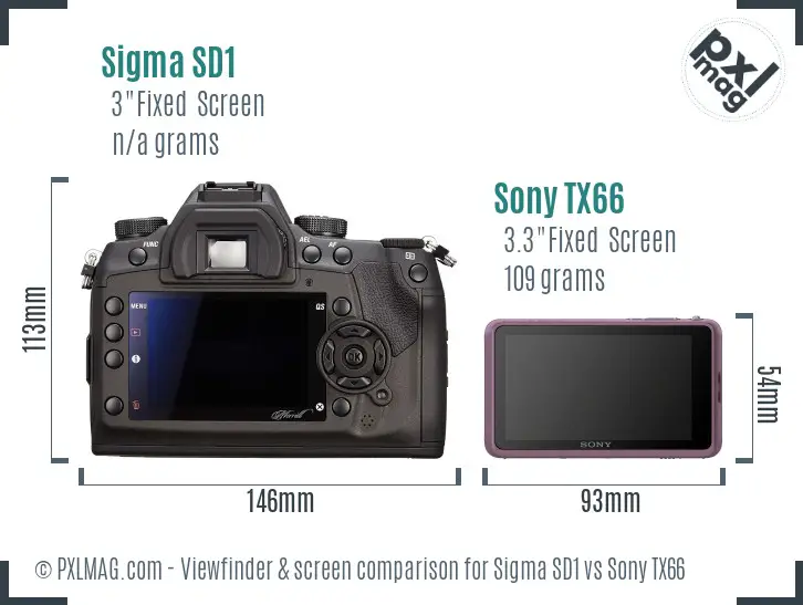 Sigma SD1 vs Sony TX66 Screen and Viewfinder comparison