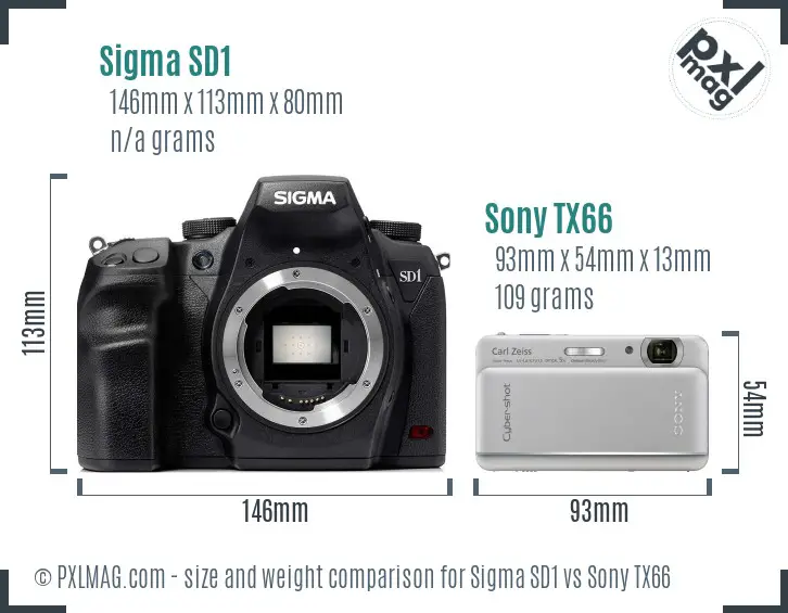 Sigma SD1 vs Sony TX66 size comparison