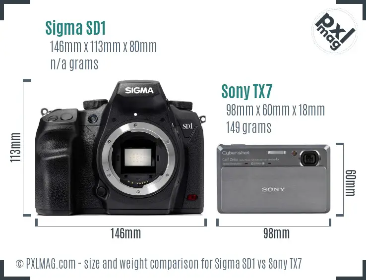 Sigma SD1 vs Sony TX7 size comparison