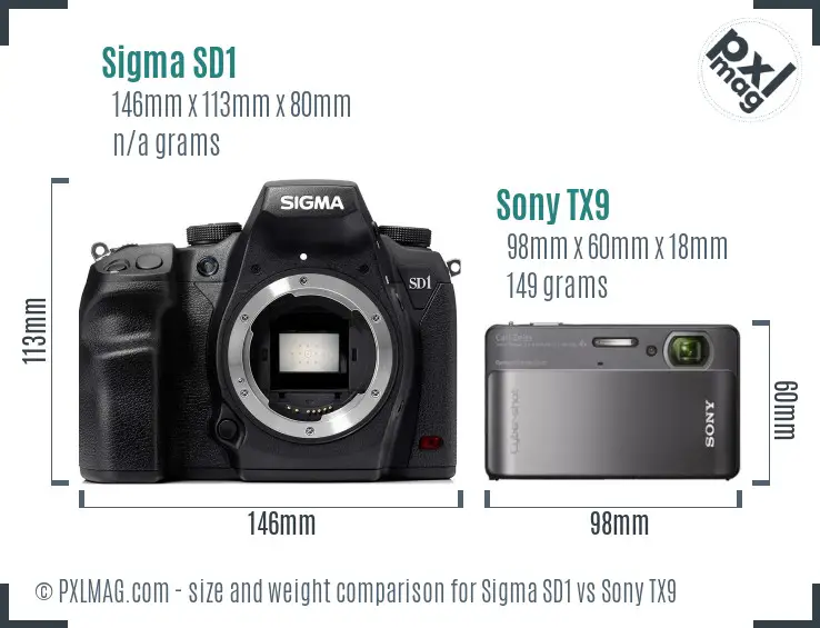 Sigma SD1 vs Sony TX9 size comparison Sigma SD1 vs Sony TX9 size comparison