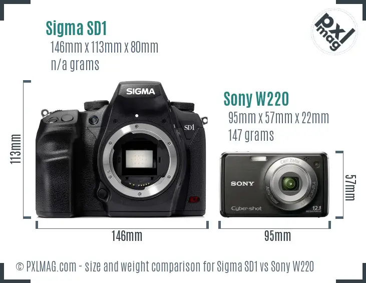 Sigma SD1 vs Sony W220 size comparison
