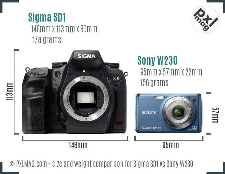 Sigma SD1 vs Sony W230 size comparison