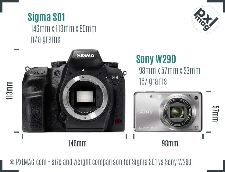 Sigma SD1 vs Sony W290 size comparison