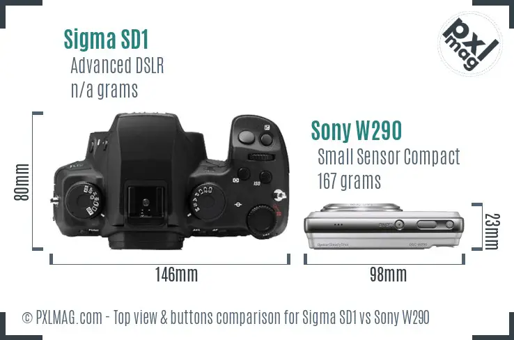 Sigma SD1 vs Sony W290 top view buttons comparison