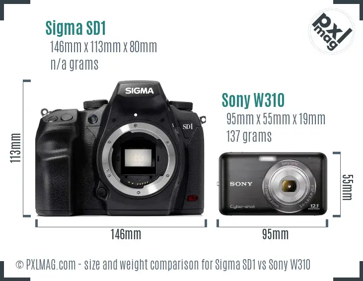 Sigma SD1 vs Sony W310 size comparison
