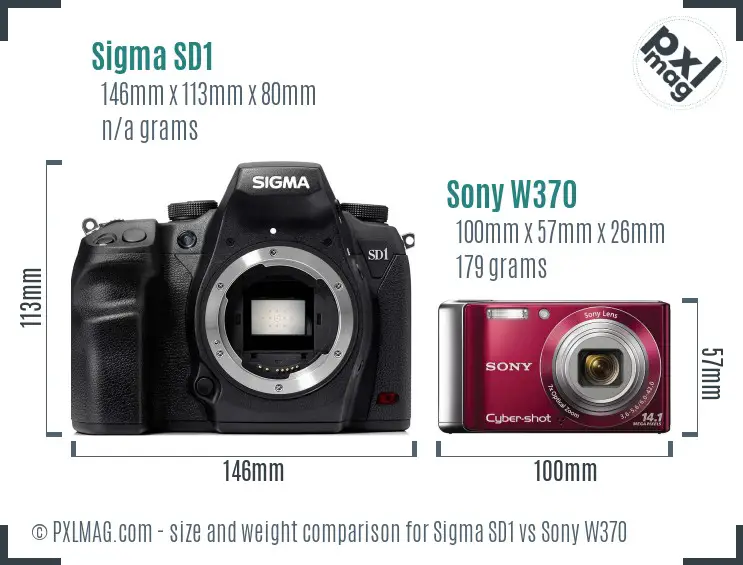 Sigma SD1 vs Sony W370 size comparison