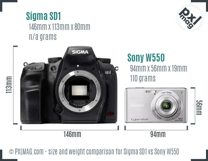 Sigma SD1 vs Sony W550 size comparison