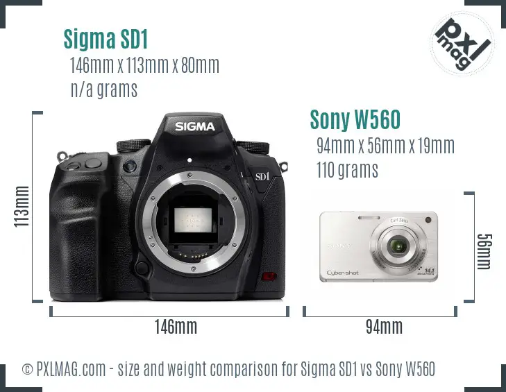 Sigma SD1 vs Sony W560 size comparison