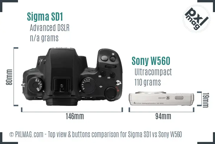 Sigma SD1 vs Sony W560 top view buttons comparison