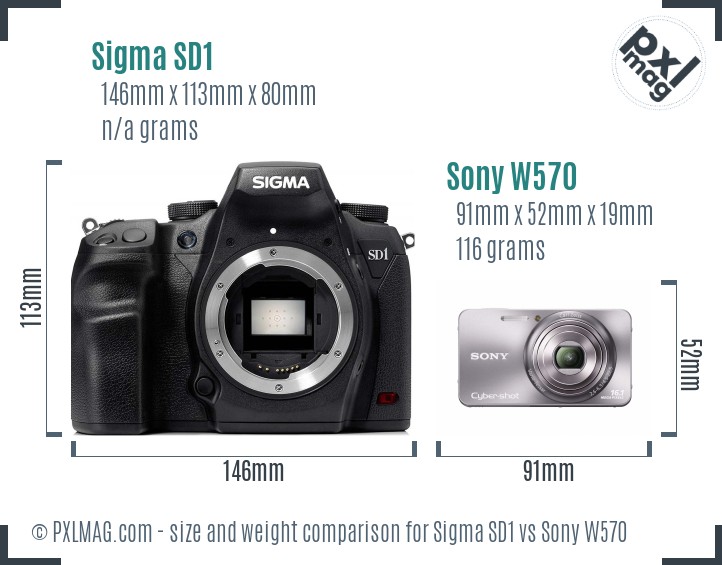 Sigma SD1 vs Sony W570 size comparison