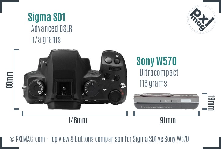 Sigma SD1 vs Sony W570 top view buttons comparison