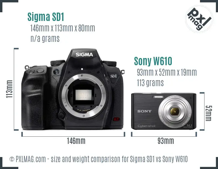 Sigma SD1 vs Sony W610 size comparison Sigma SD1 vs Sony W610 size comparison