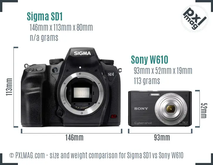 Sigma SD1 vs Sony W610 size comparison
