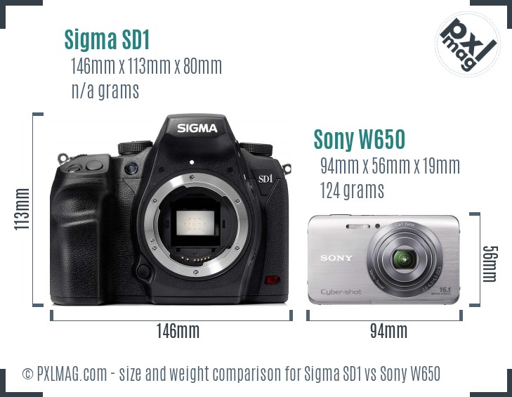 Sigma SD1 vs Sony W650 size comparison