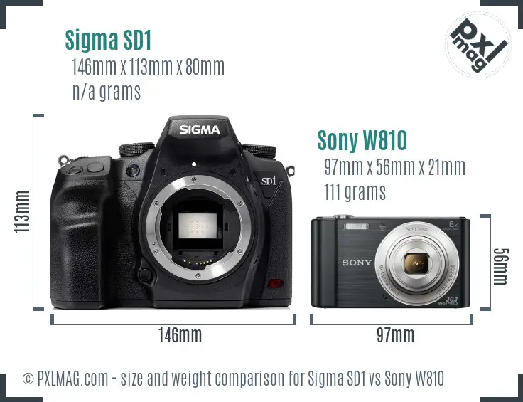 Sigma SD1 vs Sony W810 size comparison