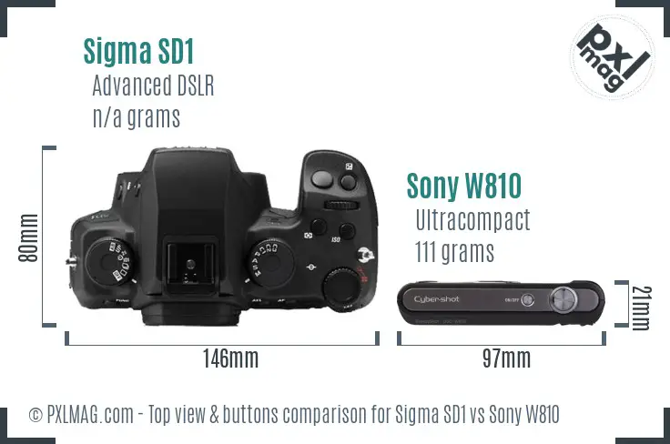 Sigma SD1 vs Sony W810 top view buttons comparison