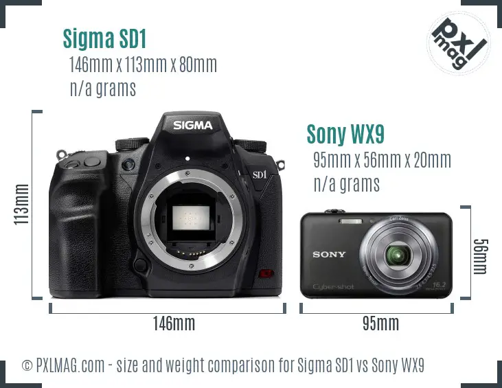 Sigma SD1 vs Sony WX9 size comparison