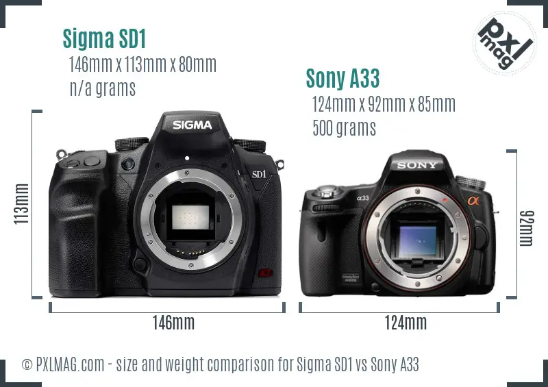 Sigma SD1 vs Sony A33 size comparison
