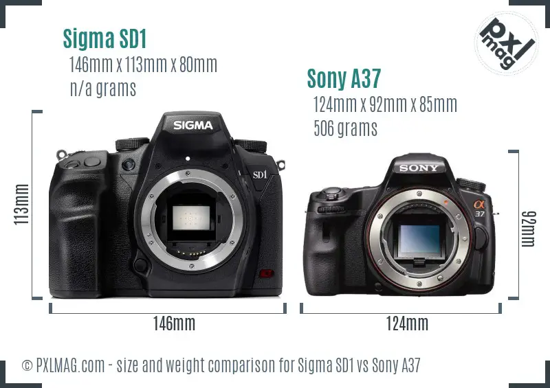 Sigma SD1 vs Sony A37 size comparison Sigma SD1 vs Sony A37 size comparison