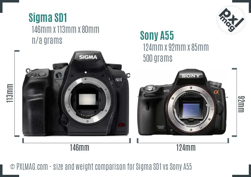 Sigma SD1 vs Sony A55 size comparison Sigma SD1 vs Sony A55 size comparison