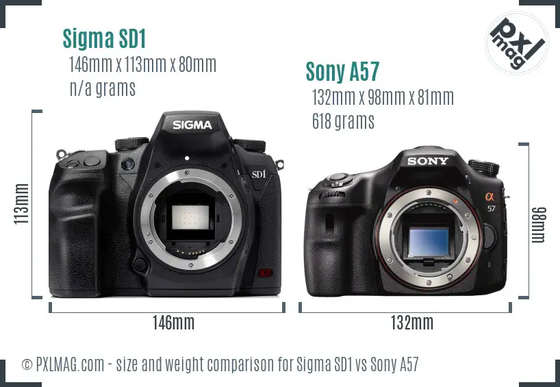 Sigma SD1 vs Sony A57 size comparison