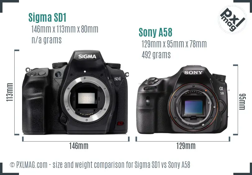Sigma SD1 vs Sony A58 size comparison