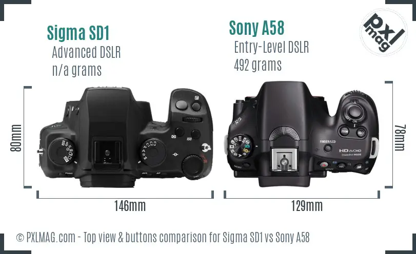 Sigma SD1 vs Sony A58 top view buttons comparison