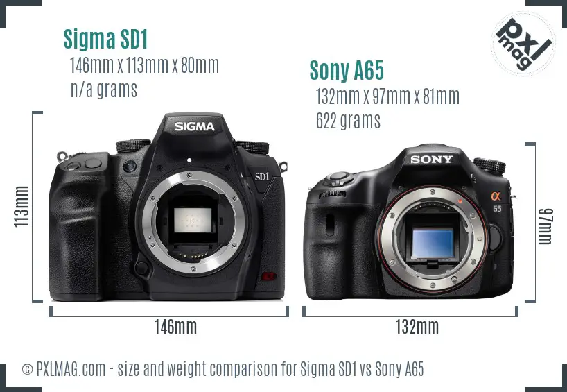 Sigma SD1 vs Sony A65 size comparison