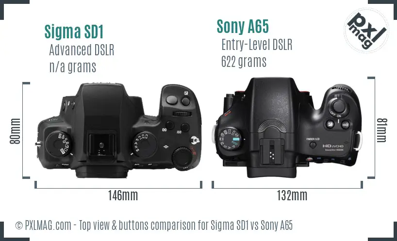 Sigma SD1 vs Sony A65 top view buttons comparison