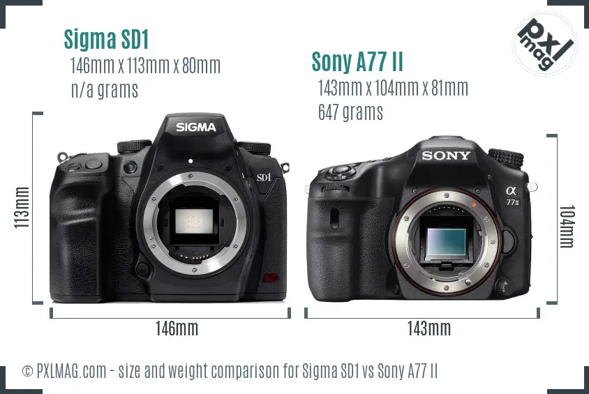 Sigma SD1 vs Sony A77 II size comparison