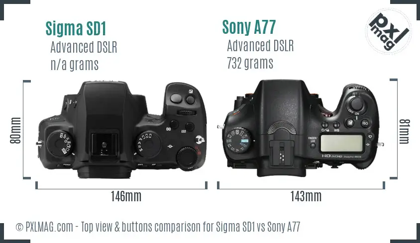 Sigma SD1 vs Sony A77 top view buttons comparison