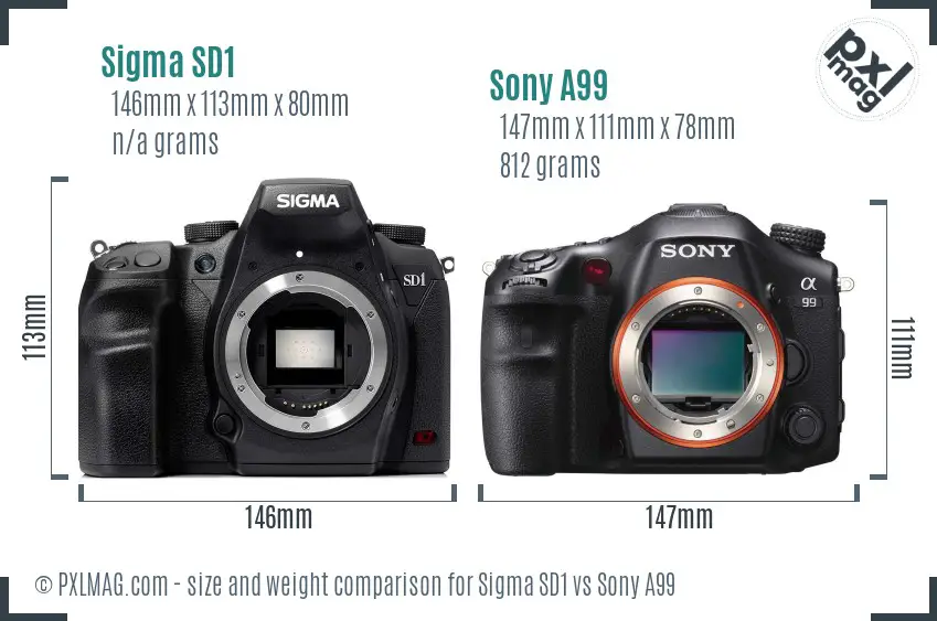 Sigma SD1 vs Sony A99 size comparison