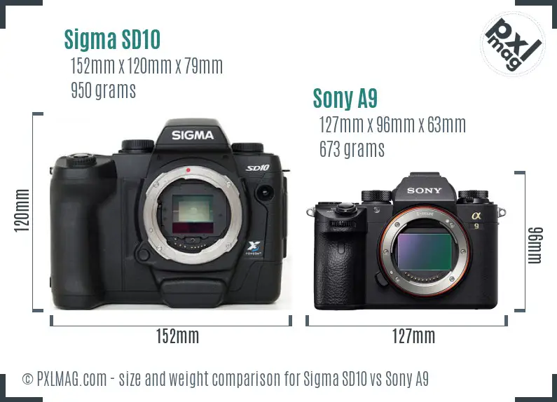 Sigma SD10 vs Sony A9 size comparison Sigma SD10 vs Sony A9 size comparison