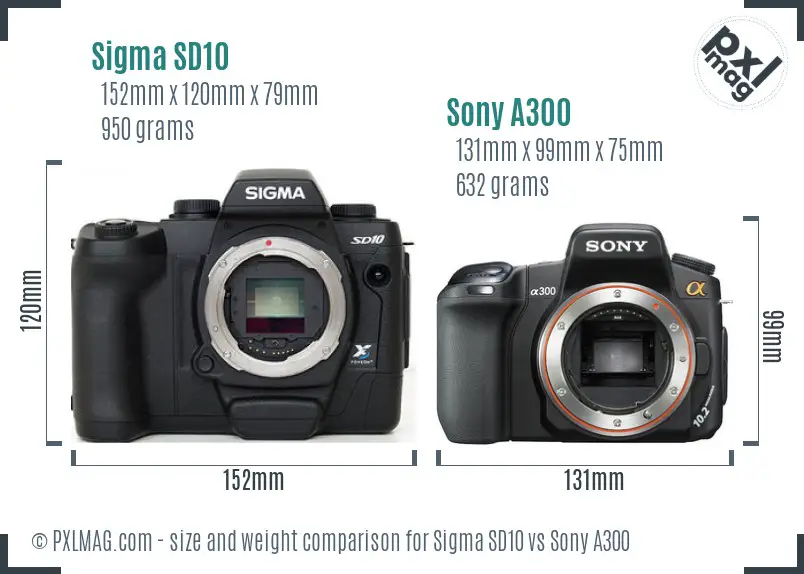 Sigma SD10 vs Sony A300 Size Comparison