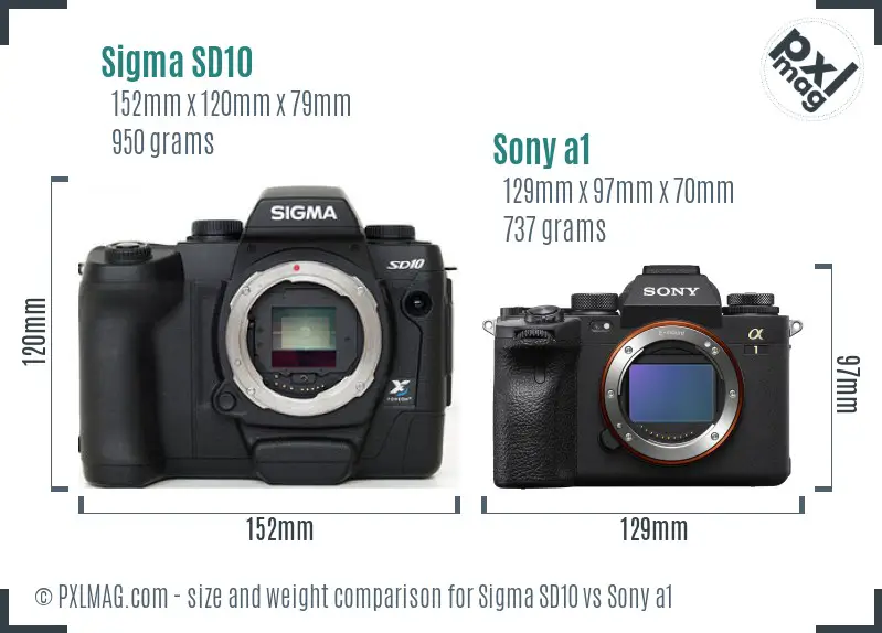Sigma SD10 vs Sony a1 size comparison