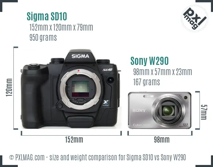 Sigma SD10 vs Sony W290 size comparison