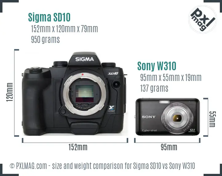 Sigma SD10 vs Sony W310 size comparison