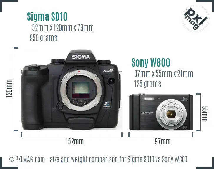 Sigma SD10 vs Sony W800 size comparison