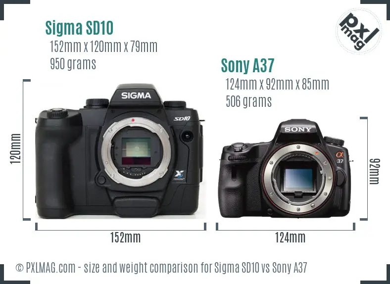 Sigma SD10 vs Sony A37 size comparison