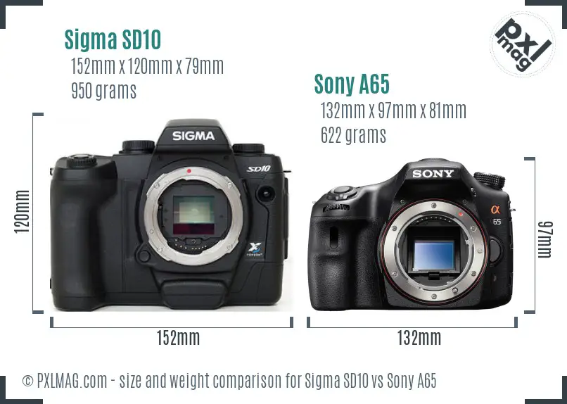 Sigma SD10 vs Sony A65 size comparison