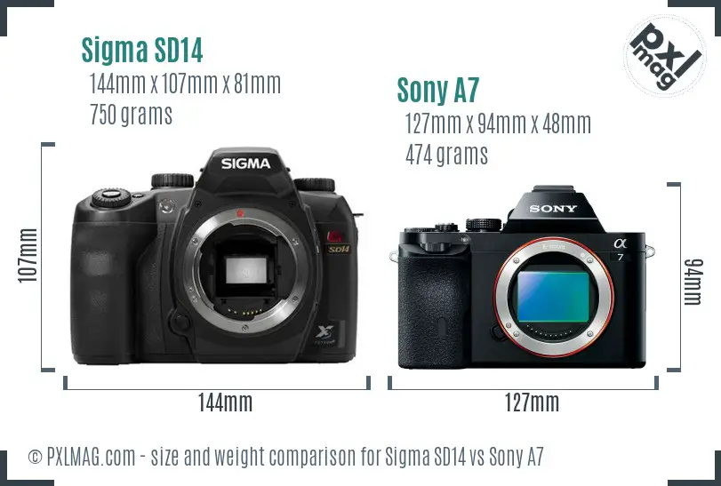 Sigma SD14 vs Sony A7 size comparison