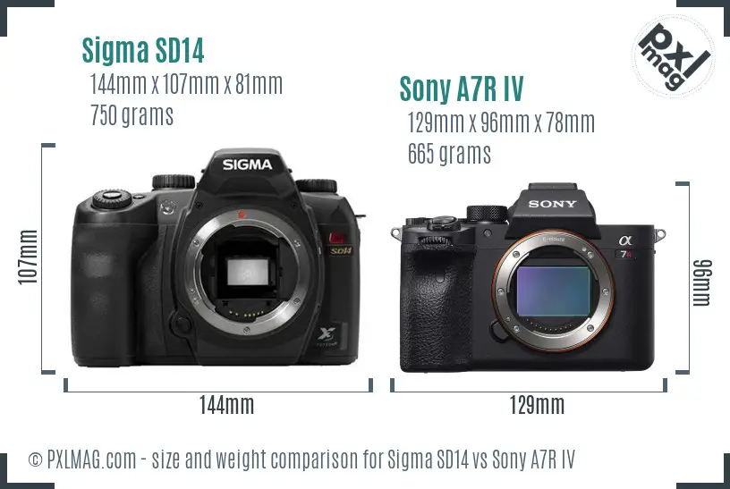 Sigma SD14 vs Sony A7R IV size comparison