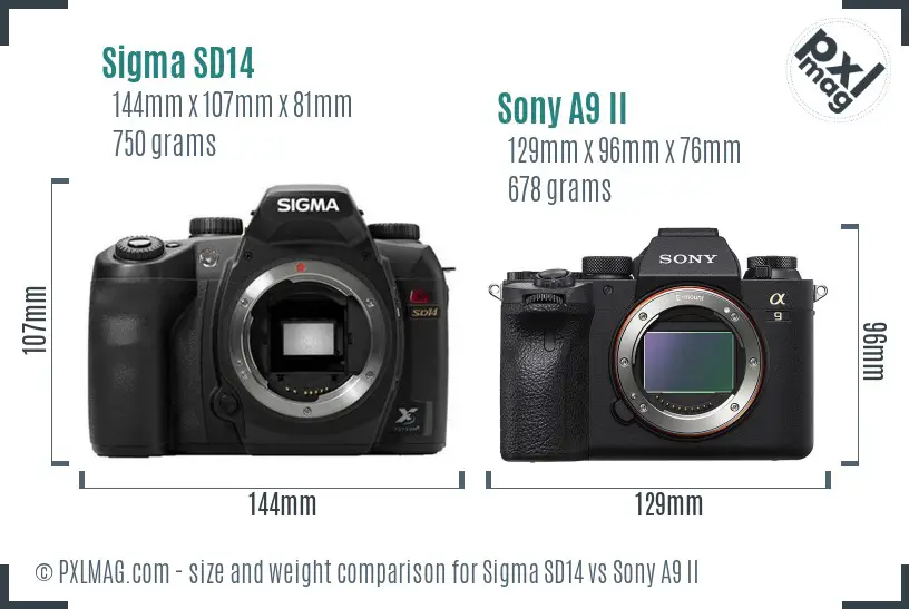 Sigma SD14 vs Sony A9 II size comparison