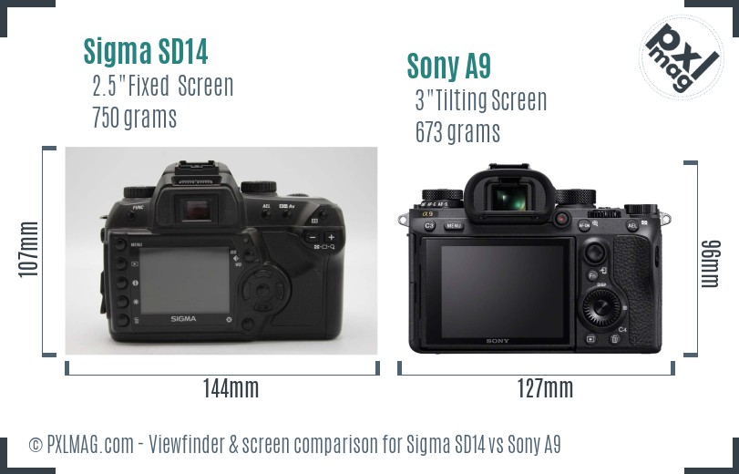 Sigma SD14 vs Sony A9 Screen and Viewfinder comparison