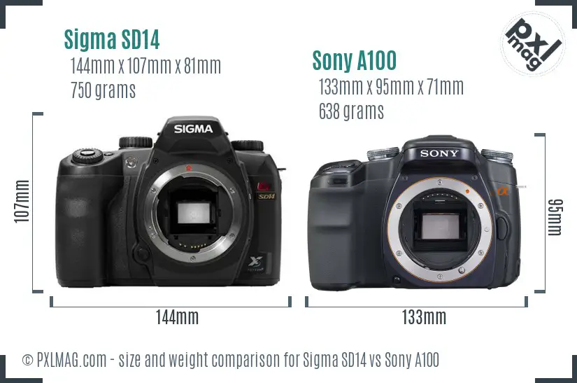 Sigma SD14 vs Sony A100 size comparison Sigma SD14 vs Sony A100 size comparison