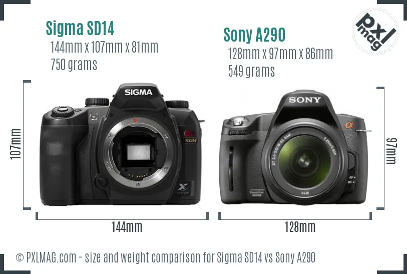 Sigma SD14 vs Sony A290 size comparison