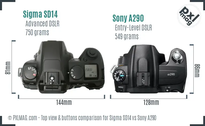 Sigma SD14 vs Sony A290 top view buttons comparison