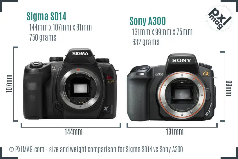 Sigma SD14 vs Sony A300 size comparison