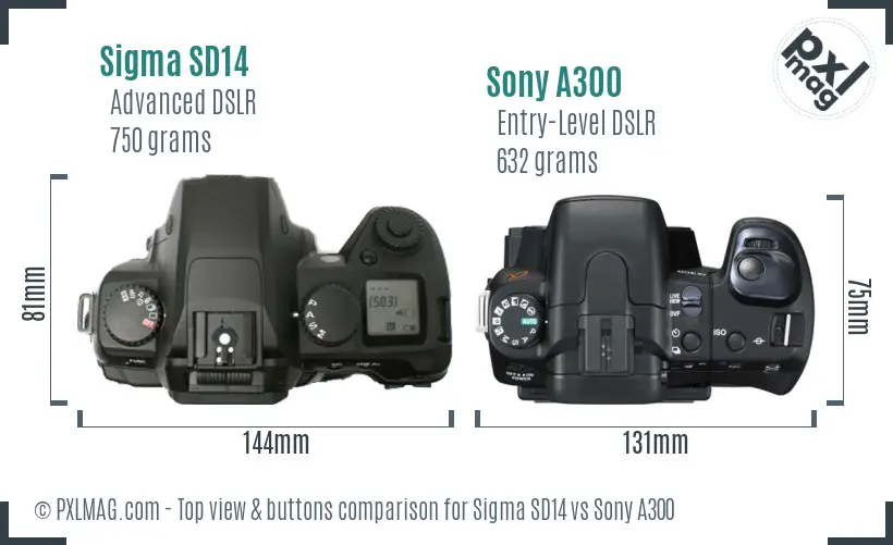 Sigma SD14 vs Sony A300 top view buttons comparison