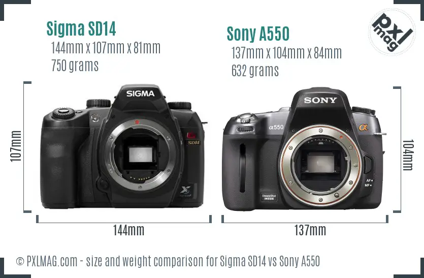 Sigma SD14 vs Sony A550 size comparison